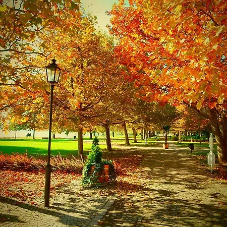 Almadi Balatonalmadi